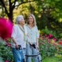 Helping Seniors with Limited Mobility Spend More Time Outside